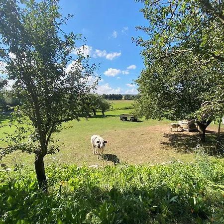 Apartamento Haus Windfee 1 *