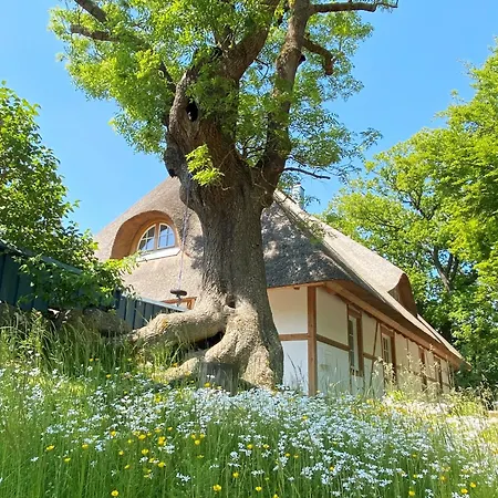 Haus Windfee 1 Apartamento