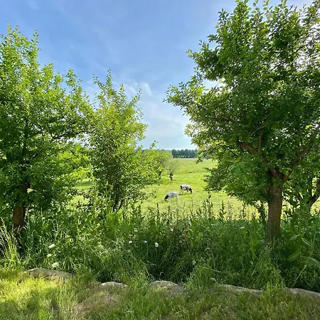 Apartamento Haus Windfee 1