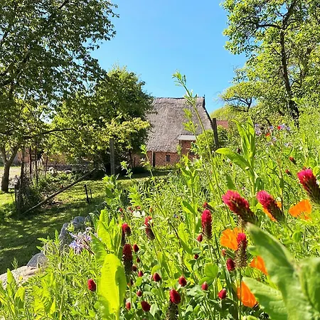 Apartamento Haus Windfee 1 *