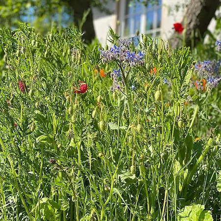 Apartamento Haus Windfee 1 Wittenbeck